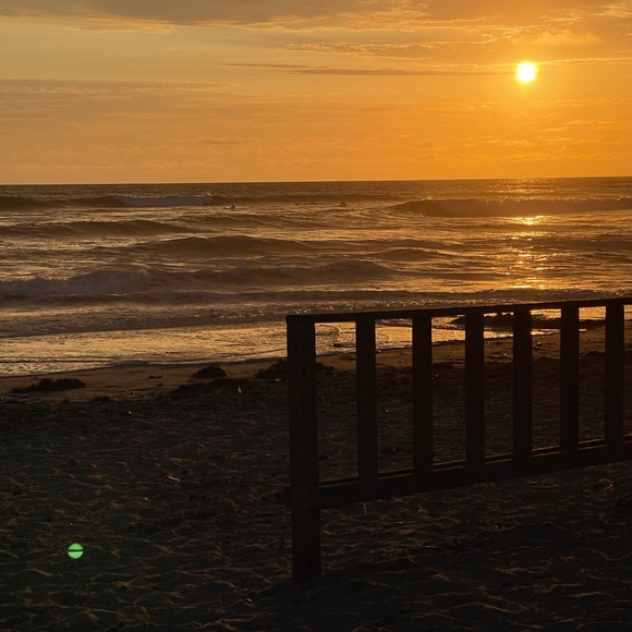 Meet your Posher, Peter - Picture 5 of 12